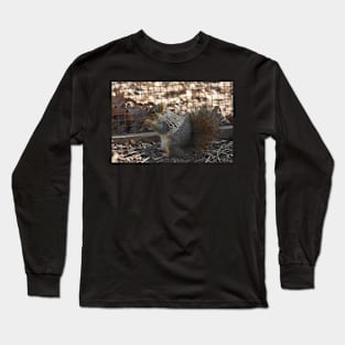 Squirrel Long Sleeve T-Shirt